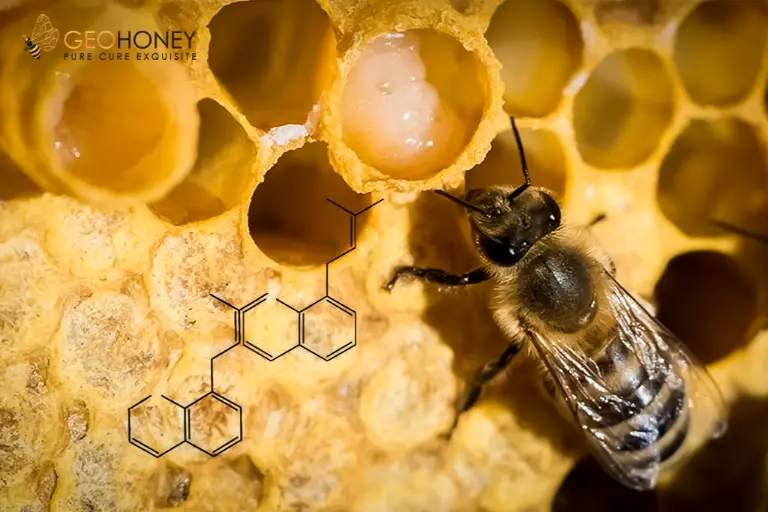 أشياء يجب معرفتها عن التركيب الكيميائي لغذاء ملكات النحل