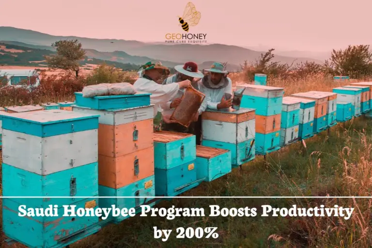برنامج نحل العسل السعودي يحقق زيادة ملحوظة في الإنتاجية بنسبة 200%