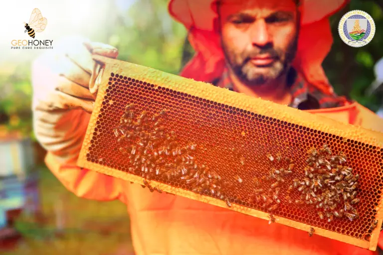 USDA-honey bee producers