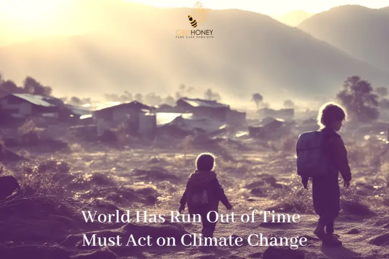 لقد نفد الوقت من العالم ويجب أن يتحرك بشأن تغير المناخ على الفور