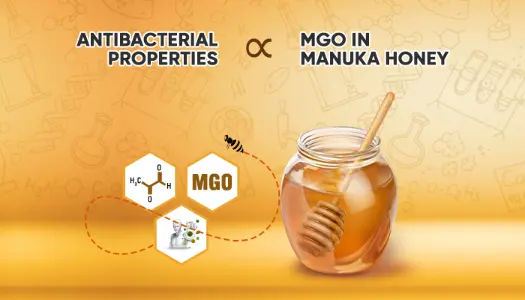 MGO - هل هذا المكون الرئيسي يقلل من قدرة عسل مانوكا في التئام الجروح